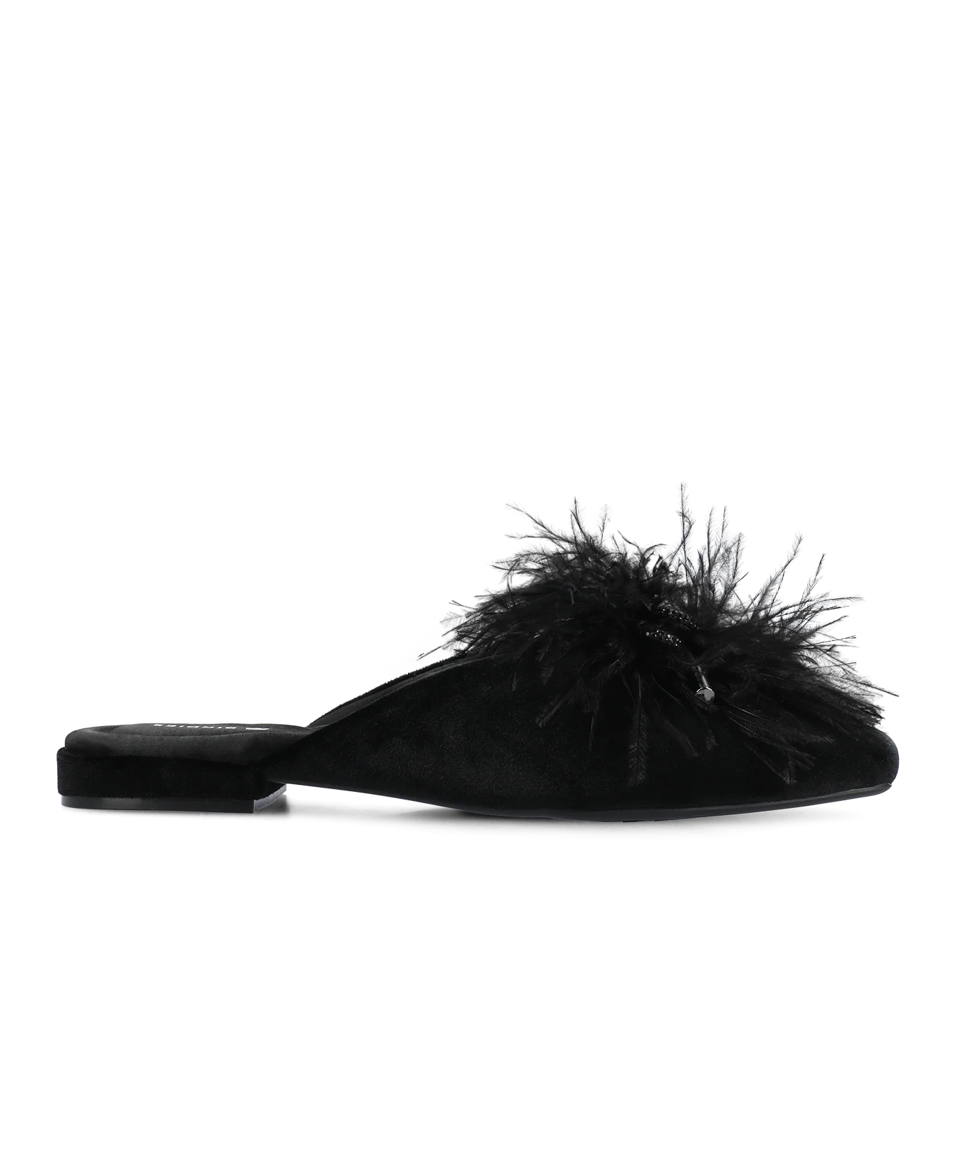 The Lovebird - Black Velvet - Image 3